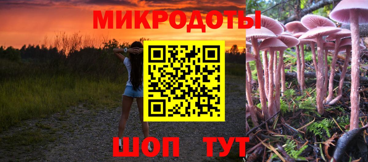 дарнет шоп  Вход с VPN  Владикавказ  Галлюциногенные грибы Psilocybine cubensis 