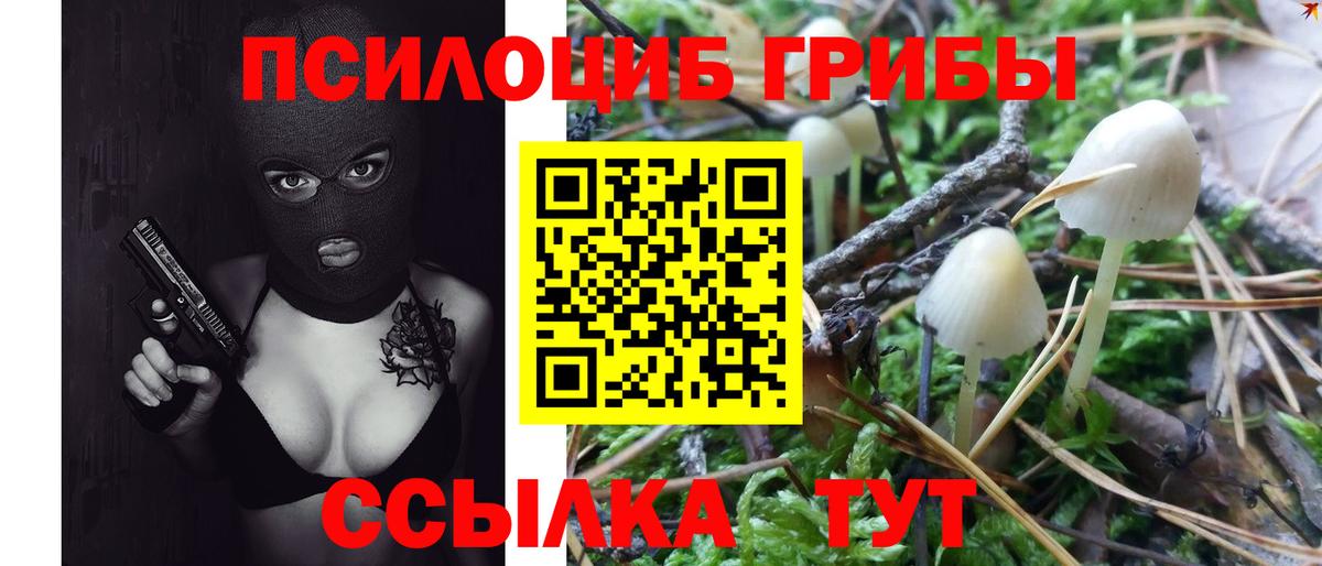 Псилоцибиновые грибы Psilocybine cubensis  Владикавказ 